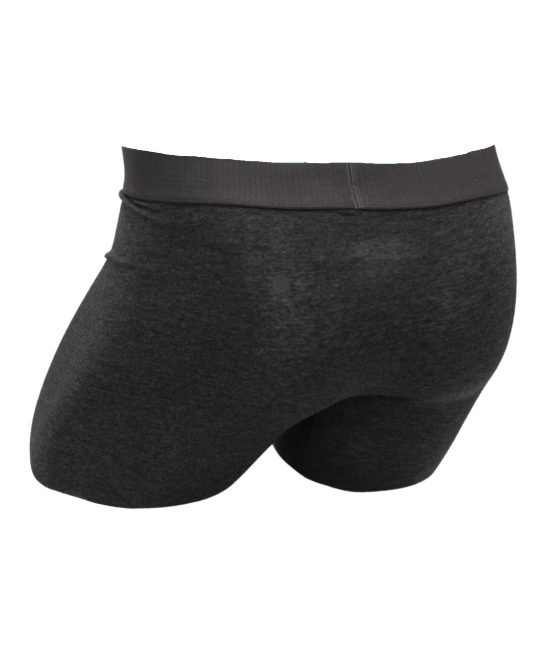 Biker brief w/fly-Graphite: Graphite-H11 / M