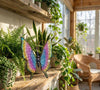 Colorful Metal Butterfly Wall Plaque Multi-Color